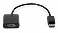 HP FH973AA, Display Port To DVI-D Adapter, 1 Year Warranty