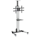StarTech STNDMTV70, Mobile Display Cart, For 32"-75" Up to 40Kg, Adjustable Height, Lockable Wheels, 5 Year Warranty
