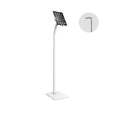 Brateck Universal Anti-Theft tablet floor stand compatible with most 7.9'-11' Tablets-White 220x300x1238mm Anti-Theft Locking Screw(LS)